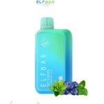 Elf Bar BC 10000 Puffs 20mg Blueberry Mint