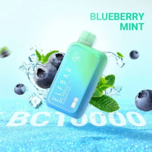 Elf Bar Blueberry Mint BC 10000 Puffs