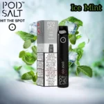Pod Salt Go 2500 Puffs Ice Mint