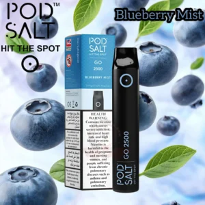 Pod Salt Go 2500 Puffs Blueberry Mist