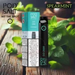 Pod Salt go 2500 Puffs SPEARMINT