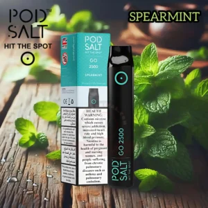 Pod Salt go 2500 Puffs SPEARMINT