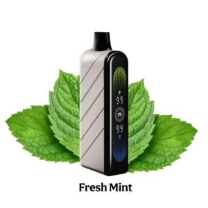Fummo Nova 50000 Puffs Fresh Mint
