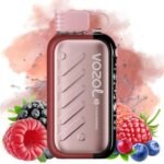 Vozol Gear Ice & Sweet 50000 Puffs mixed berries